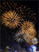Thames Festival Fireworks 2010